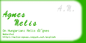 agnes melis business card